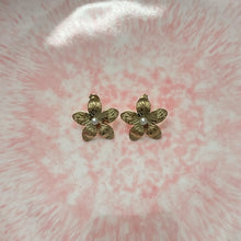 Charger l'image dans la galerie, Stainless Steel Earrings