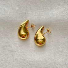 Carregar imagem no visualizador da galeria, Stainless Steel Drop Earrings