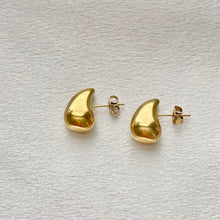 Carregar imagem no visualizador da galeria, Stainless Steel Drop Earrings