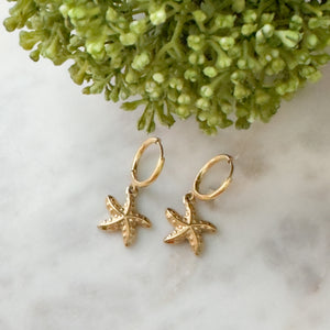 Starfish Drop Earrings