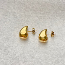 Carregar imagem no visualizador da galeria, Stainless Steel Drop Earrings
